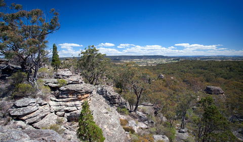 Munghorn Gap Nature Reserve - Accommodation Australia 0