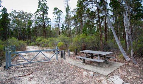 Munghorn Gap Nature Reserve - Accommodation Australia 2