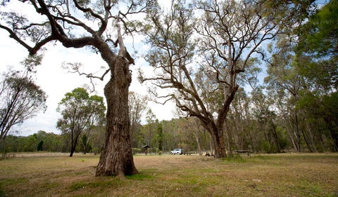 Munghorn Gap Nature Reserve - Accommodation Australia 3