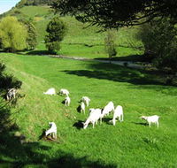Karmic Goat Soapworks - Local Tourism