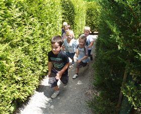 Hedgend Maze And Healesville Laser Sport - Local Tourism 1