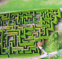 Hedgend Maze and Healesville Laser Sport - Local Tourism