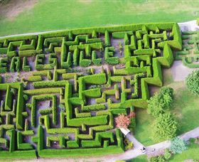 Hedgend Maze And Healesville Laser Sport - Local Tourism 0