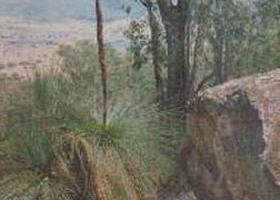 Burrowye VIC Australia Shopping