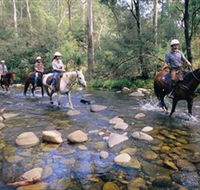 Howqua Hills Historic Area - Local Tourism