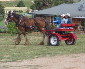 Bathurst Farm Experience - Accommodation Australia 3