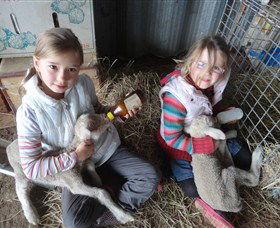 Bathurst Farm Experience - Accommodation Australia 4