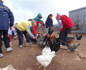Bathurst Farm Experience - Accommodation Australia 2