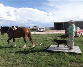 Bathurst Farm Experience - Accommodation Australia 6