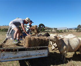 Bathurst Farm Experience - Accommodation Australia 5