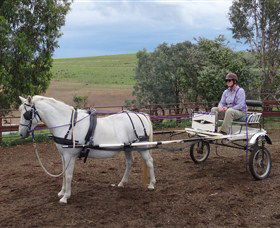 Bathurst Farm Experience - Accommodation Australia 8