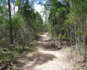 Goonoowigall State Conservation Area - Accommodation Australia 1