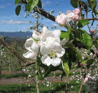 Mouat's Farm - Local Tourism