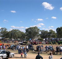 Quirindi Rural Heritage Village - Local Tourism