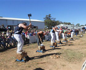 Quirindi Rural Heritage Village - Accommodation Australia 1