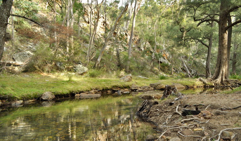 Glen Alice NSW Local Tourism