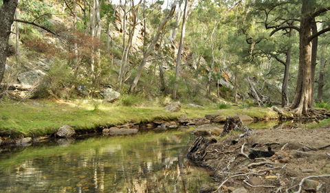 Capertee National Park - Bed n Breakfasts 0