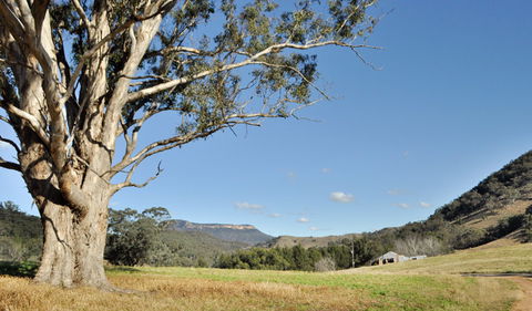 Capertee National Park - Bed n Breakfasts 2