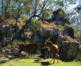  Local Tourism
