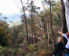 Hume And Hovell Walking Track - Accommodation Australia 5