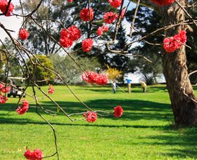 The Yass Golf Club - Local Tourism 0