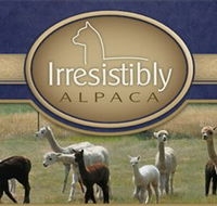 Marchmont Park Alpacas - Accommodation Australia
