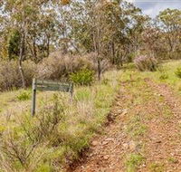 Old Mountain Road Walking Track - Accommodation Australia