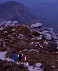 Bluff Knoll, Stirling Range National Park - Local Tourism 0
