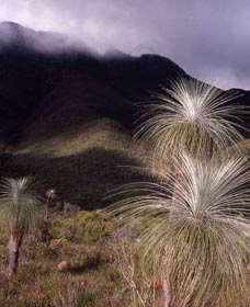 Bluff Knoll, Stirling Range National Park - Local Tourism 3