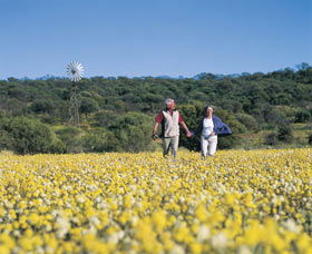 Koolanooka ACT Accommodation Australia