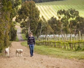 Willow Creek Vineyard - Accommodation Australia 1