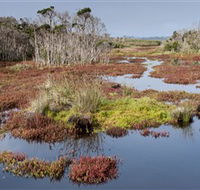 French Island National Park - Accommodation Australia