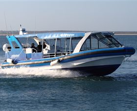 Phillip Island Nature Parks - Local Tourism 2