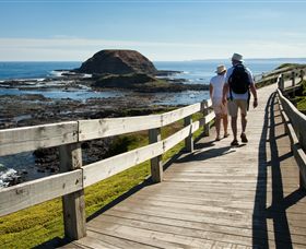 Phillip Island Nature Parks - Local Tourism 3
