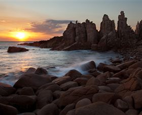 Phillip Island Nature Parks - Local Tourism 6