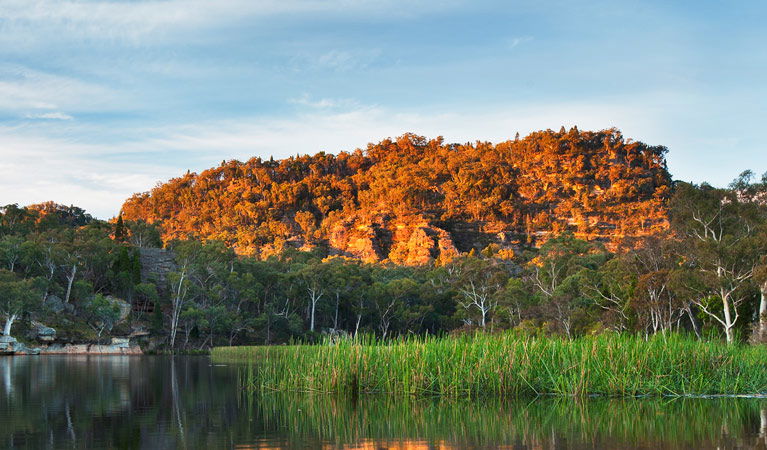 Wirraba NSW Local Tourism