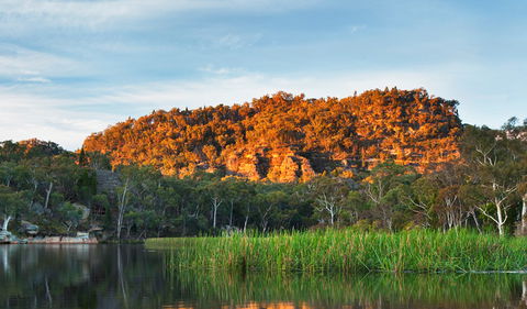 Wollemi National Park - Accommodation Australia 0