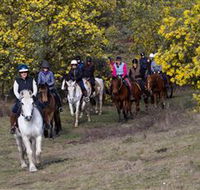Burnelee Excursions on Horseback - Accommodation Australia