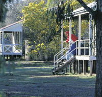 Dryandra Woodland - Accommodation Australia