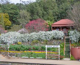 Spring Bluff Railway Station - Local Tourism 1