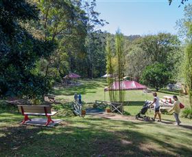 Spring Bluff Railway Station - Local Tourism 2
