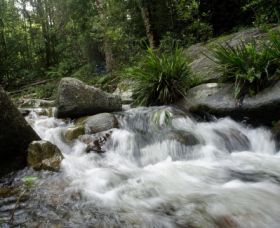 Washpool National Park - Accommodation Australia 0