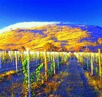 Surveyors Hill Winery - Accommodation Australia