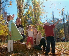 Cotter Avenue Recreation Area - Local Tourism 0