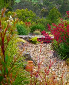 Ungulla Country Garden - Local Tourism 1