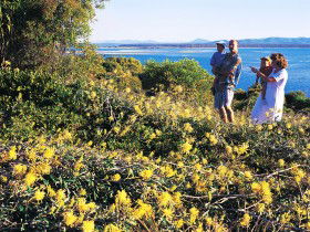 Seventeen Seventy QLD Local Tourism