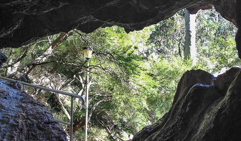 Carlotta Arch Walking Track - Local Tourism 1