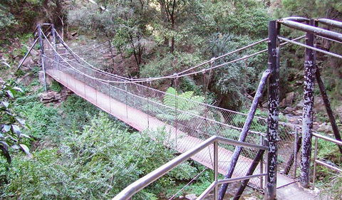 Jenolan River Walking Track - Accommodation Australia 0