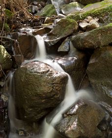 Arc-en-Ciel Trout Farm - Accommodation Australia 1