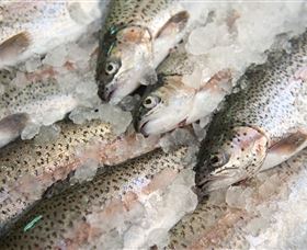 Arc-en-Ciel Trout Farm - Accommodation Australia 3